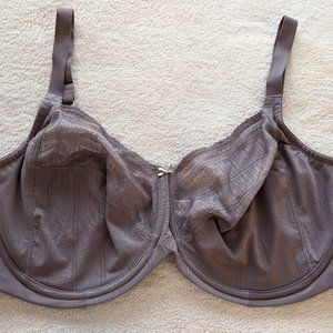 LILYETTE ENCHANTMENT MINIMIZER BR 42DD Style 434